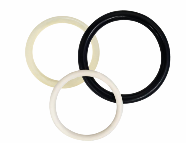 FKM Type-2 O-RING